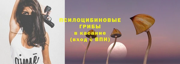дживик Беломорск