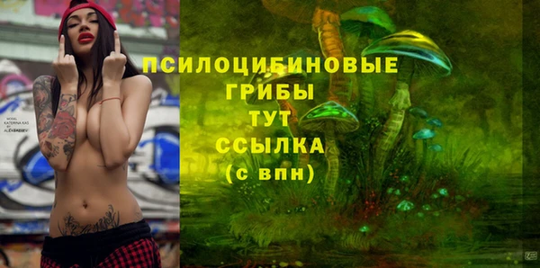 дживик Беломорск