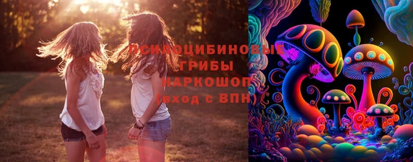 дживик Беломорск