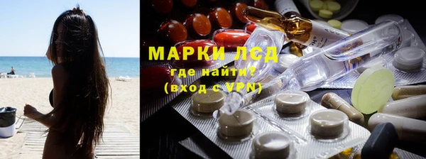 гидропоника Белокуриха