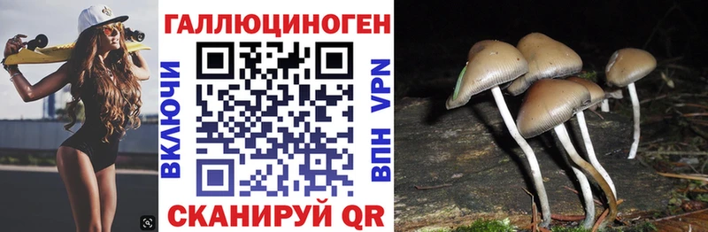 Галлюциногенные грибы Magic Shrooms закладки Зеленогорск